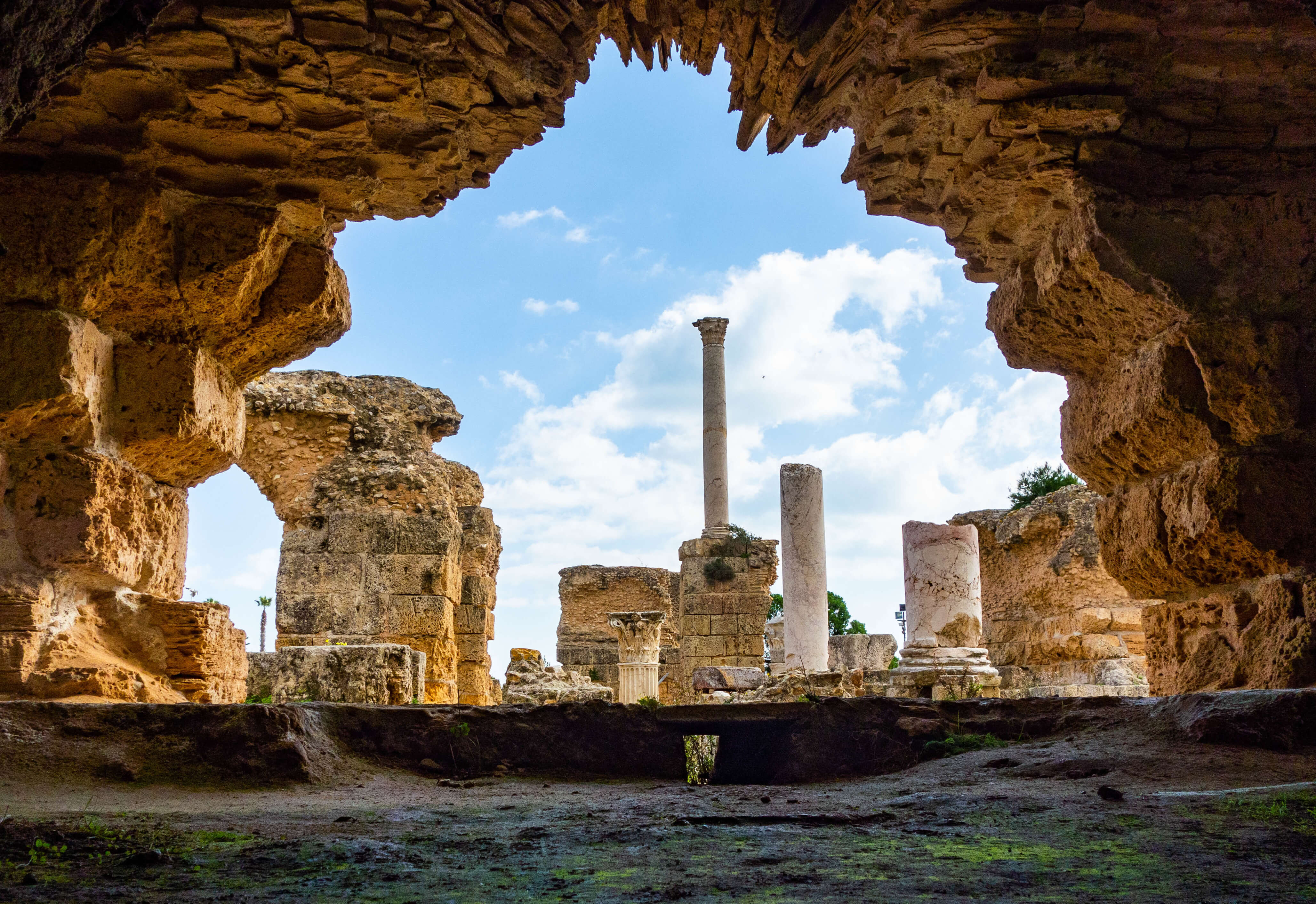 Tunis-Carthage-Sidi Bou Said Full-Day Tour