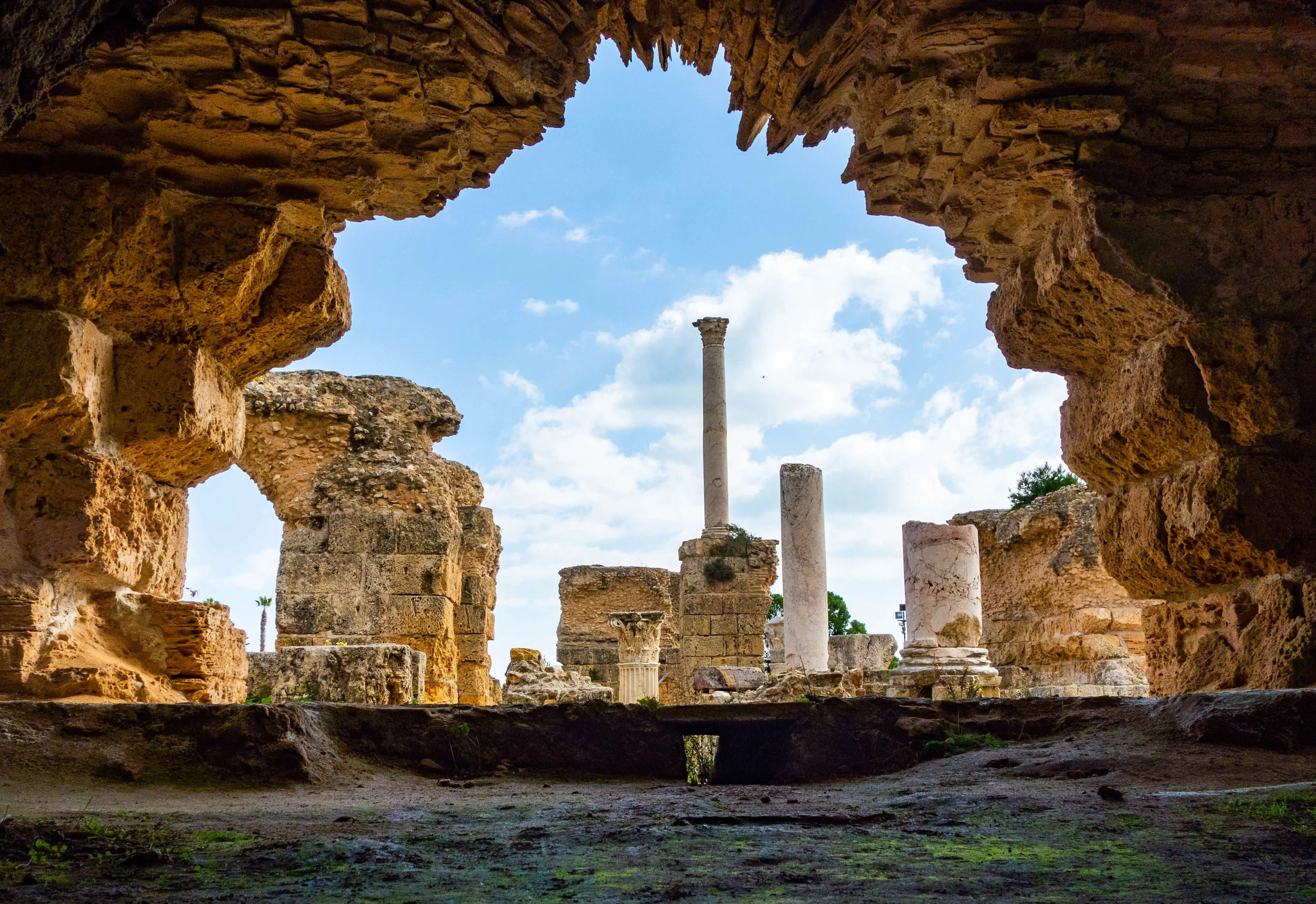 Tunis-Carthage-Sidi Bou Said Full-Day Tour