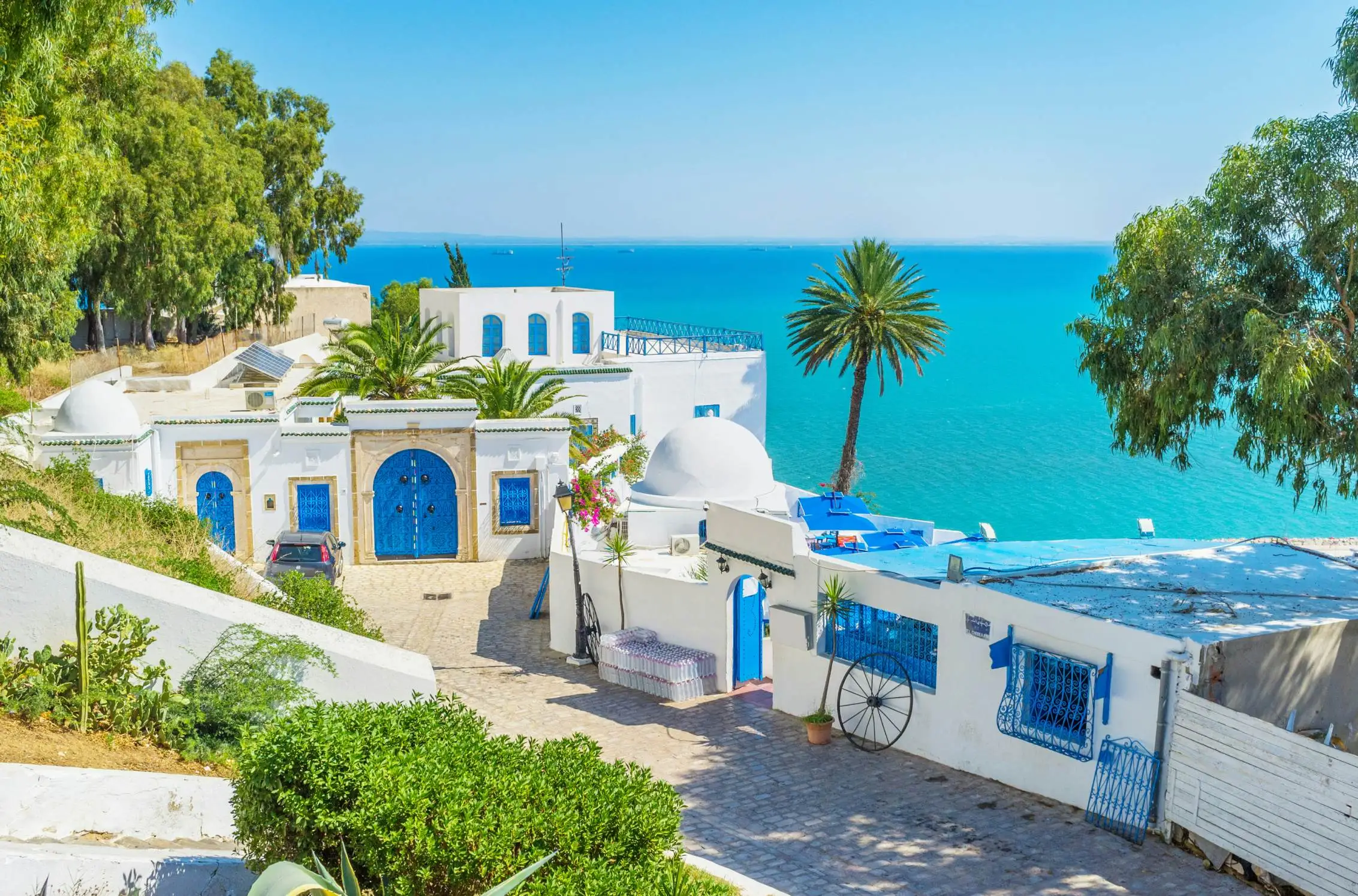 Half-Day Sidi Bou Said Tour